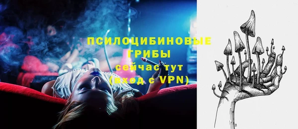 экстази Белокуриха