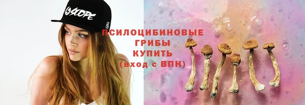 экстази Белокуриха