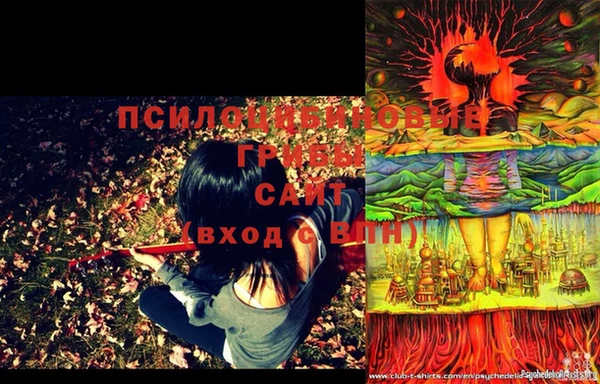 экстази Белокуриха