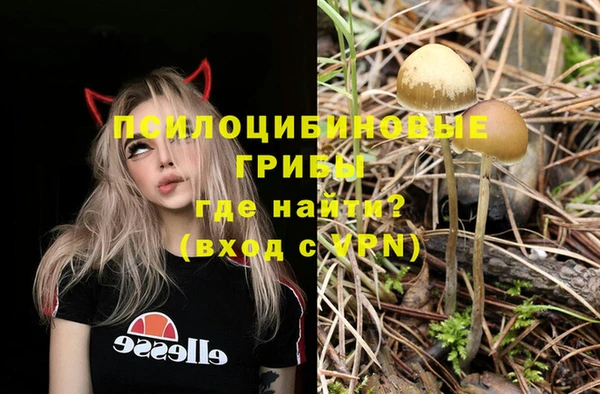 ешки Беломорск